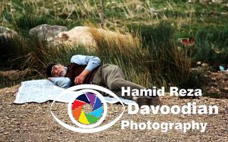 Social